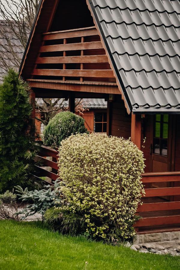 Domki U Basi Kudowa-Zdrój Exteriér fotografie